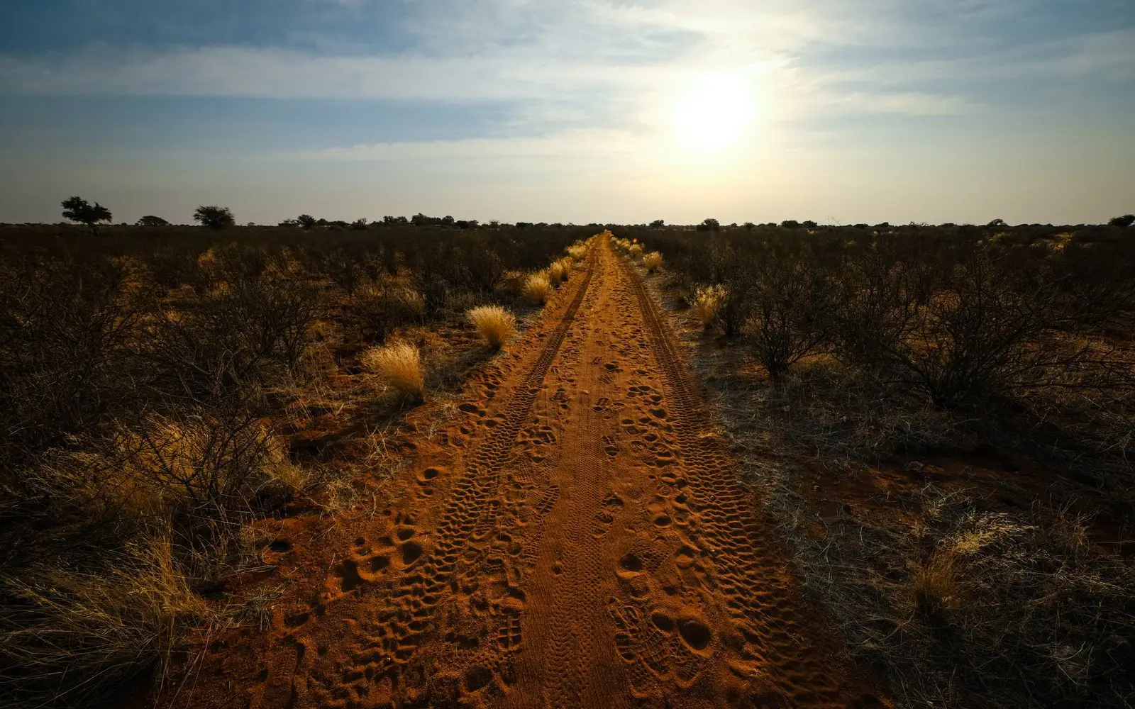 Avianto MTB Trails — official trail photo