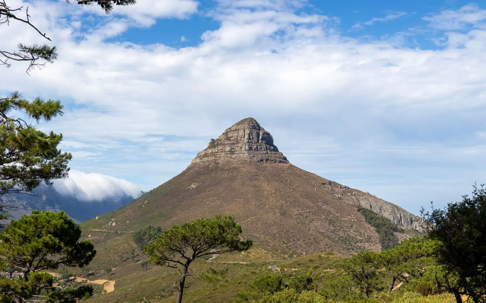 Boschendal MTB Trail Centre — official trail photo