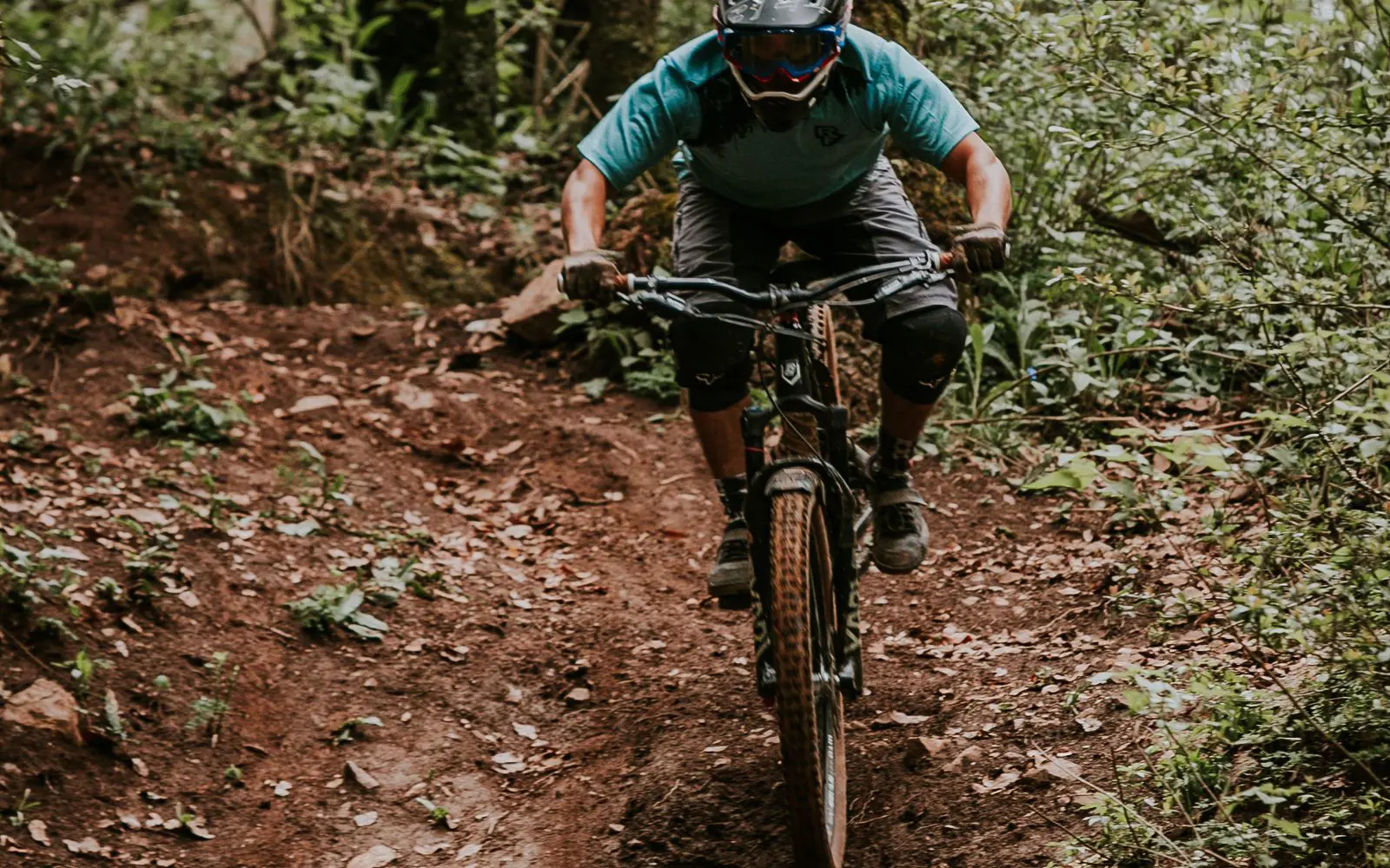 Cumec Park MTB — official trail photo