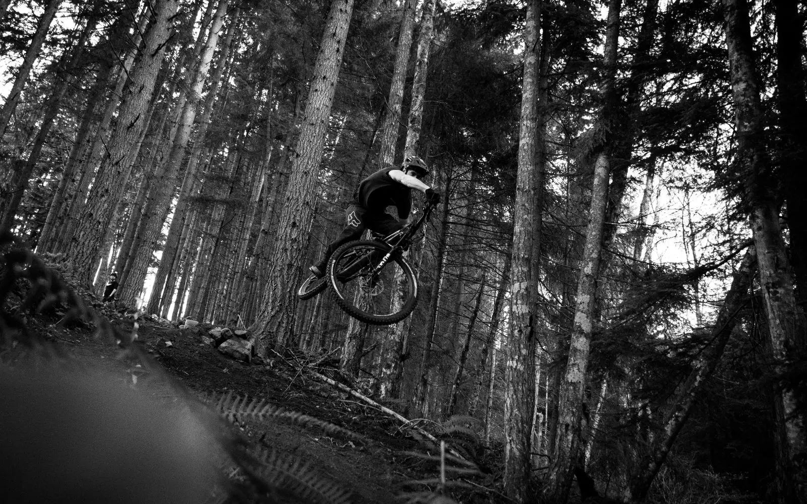 Kenneth Stainbank Nature Reserve MTB — official trail photo