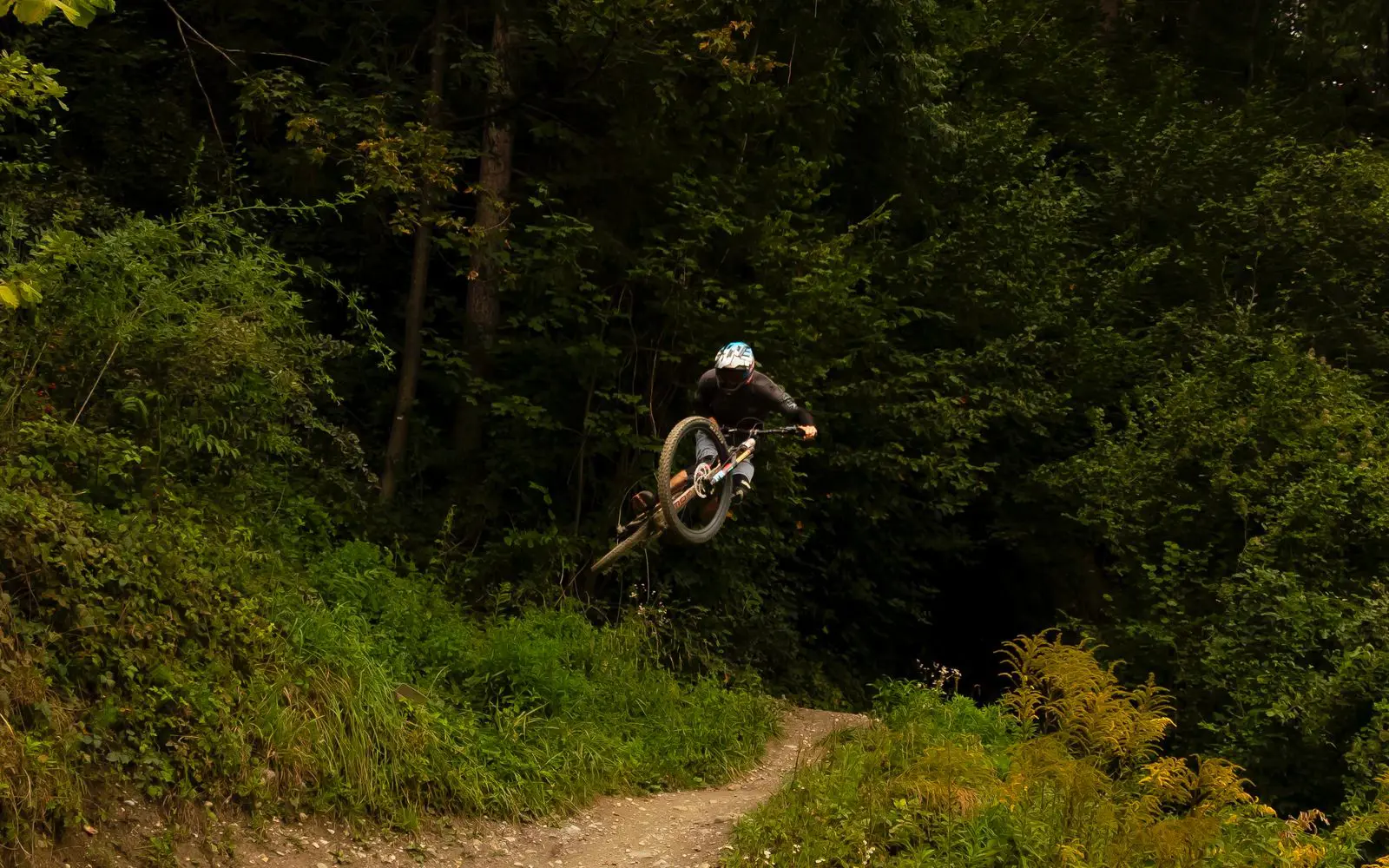 Moorewood Trails — official trail photo