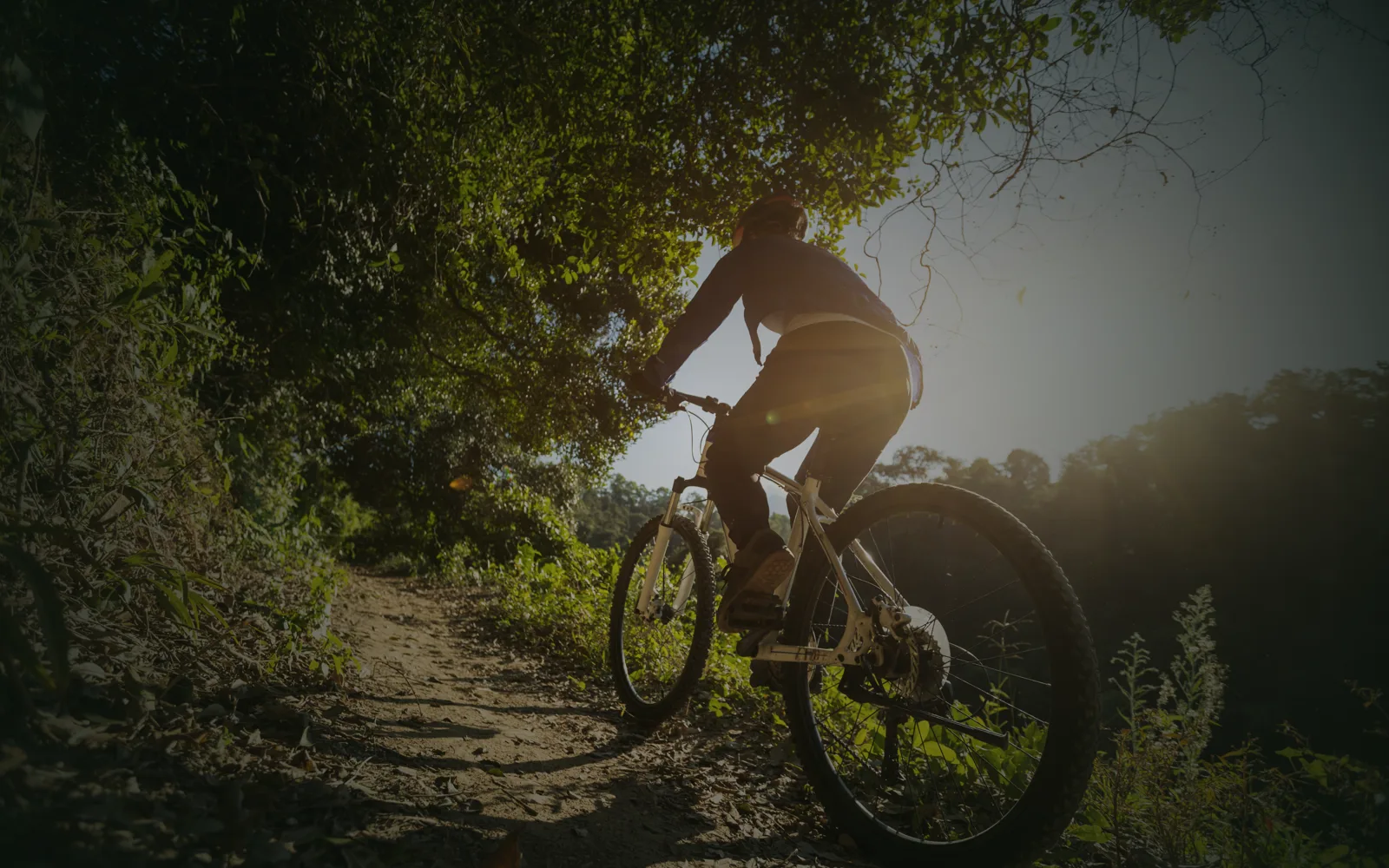 Tokai Forest Trails